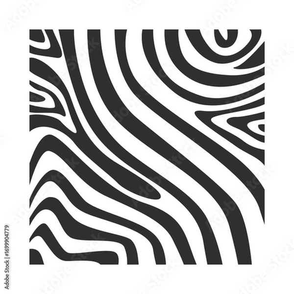 Fototapeta zebra skin texture