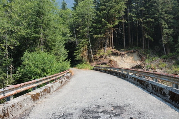 Obraz Abandoned road