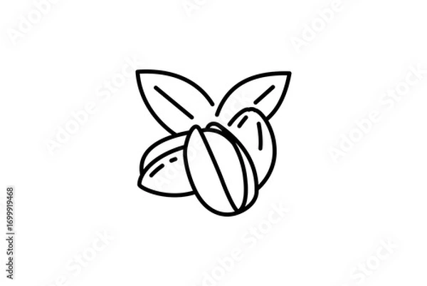 Fototapeta almond and leaf line template icon design. a cooking ingredient editable design isolated on white background