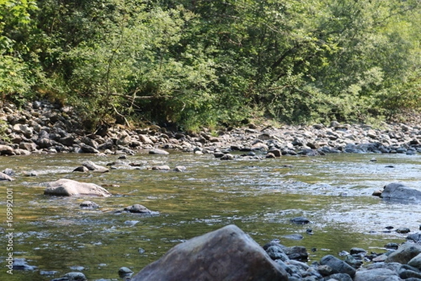 Obraz Rapid river running through trees