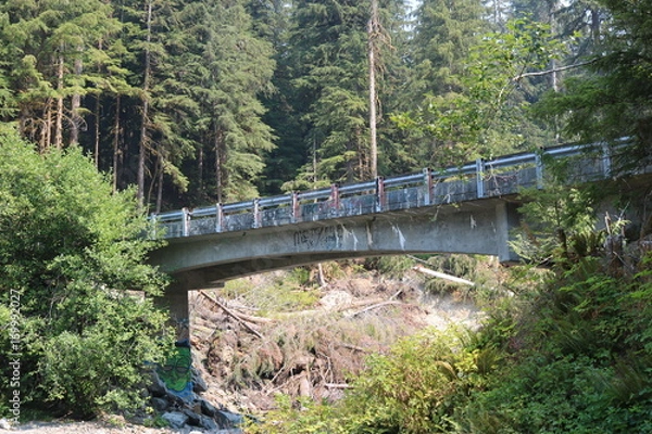 Obraz Abandoned bridge