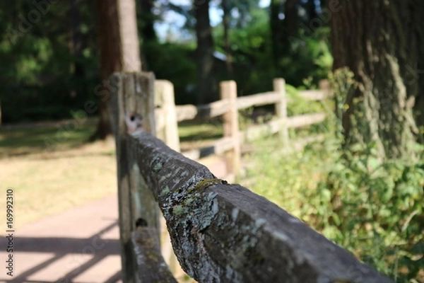 Obraz Wooden railing