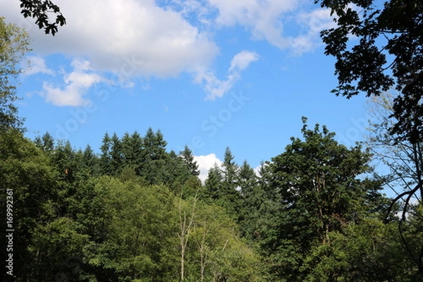 Obraz Blue sky with clouds