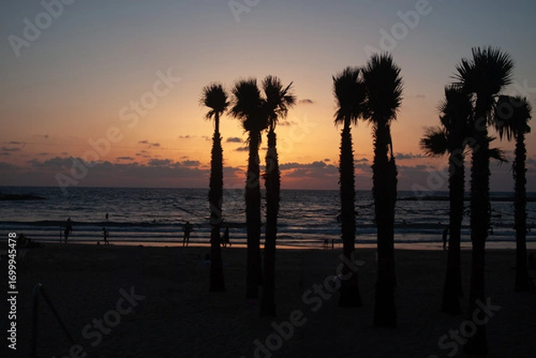 Obraz palmtrees in sunset