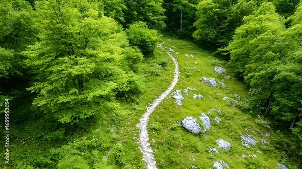 Fototapeta Winding Trail Through Lush Green Forest A Path to Serenity and Nature's Beauty