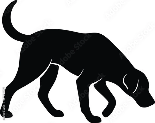 Obraz vector silhouette, sniffing dog head down, side view, solid black