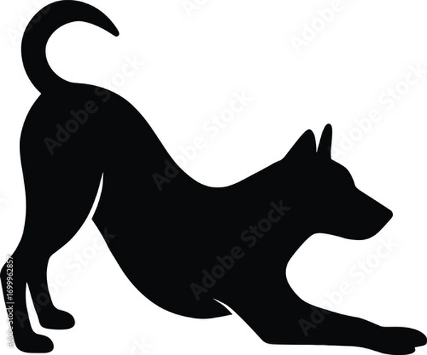 Fototapeta vector silhouette, stretching dog, side profile, solid black