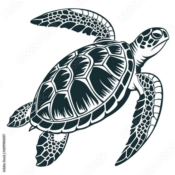 Obraz Stylized Sea Turtle Swimming Vector Illustration.