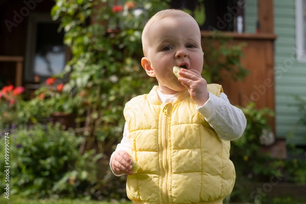 Fototapeta little one year old girl in yellow vest eating cookie on a walk