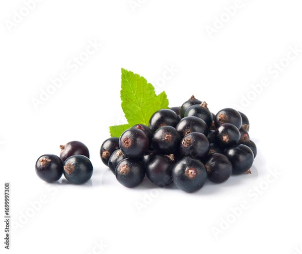 Obraz Ripe black currant berries with leaves