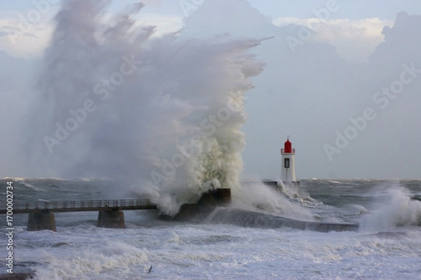 Obraz La Grande Jetée