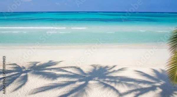 Fototapeta Tropical beach with clear turquoise water and white sand palm shadows
