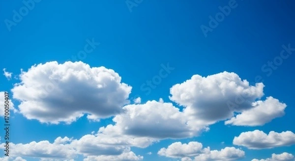Fototapeta White cumulus clouds drift across a bright blue sky