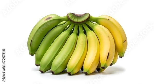 Fototapeta Green and Yellow Bananas: Ripeness Progression