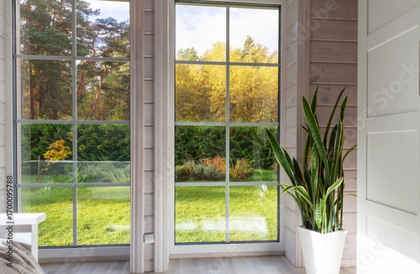 Fototapeta Modern interior with large panoramic windows, autumn forest view, cozy home with green plant Sansevieria in white pot, minimalistic design, natural light, seasonal lifestyle background, copy space