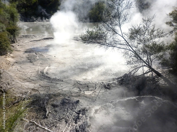 Fototapeta  Geothermal Mud Pool Rotorua, New Zealand