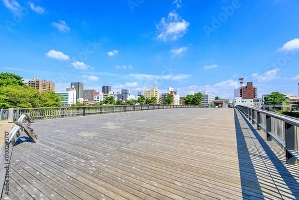 Fototapeta 岡崎市、乙川に架かる桜城橋