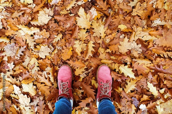 Obraz Autumn walk among fallen leaves with red boots in a forested area