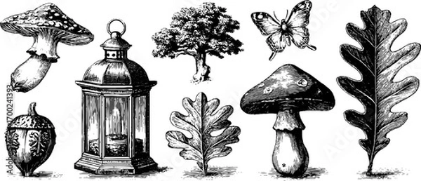 Fototapeta Enchanted forest elements in vintage engraving style: mushrooms, lantern, oak leaves, and butterfly illustration for design