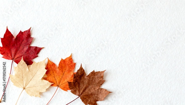 Fototapeta Seasonal design background with autumn leaves and large empty space