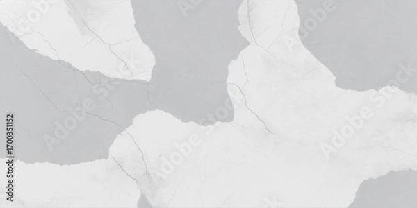 Fototapeta Abstract Cracked Texture Featuring Subtle Grayscale Patterns and Natural Details