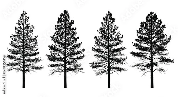 Obraz Four silhouette pine trees isolated on nature forest landscape element vector