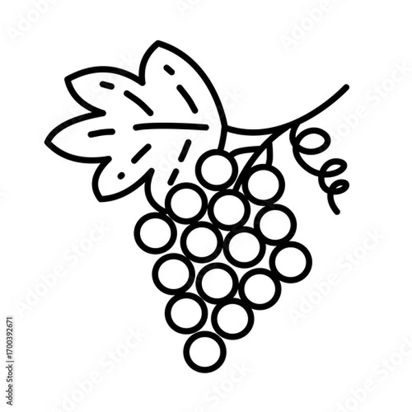 Fototapeta Line art grape icon