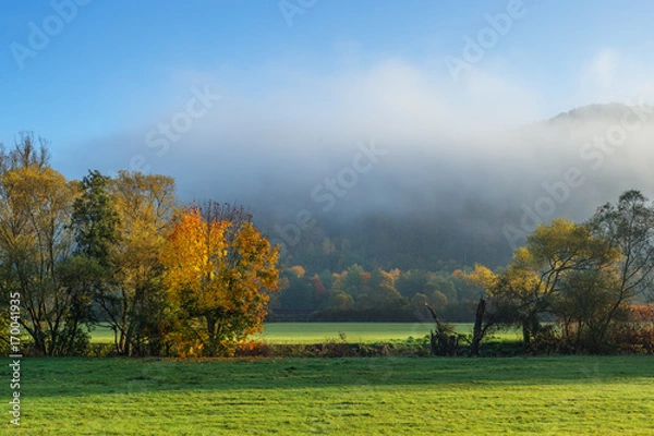 Obraz Sonnenlicht und Nebel am frühen Morgen im Herbst