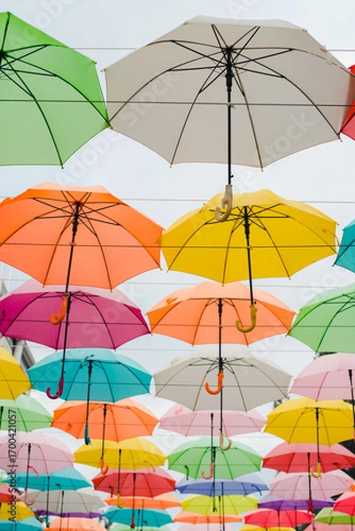 Fototapeta colorful umbrellas on white background. Colored umbrellas. Sky of colored umbrellas. Decor of umbrellas.