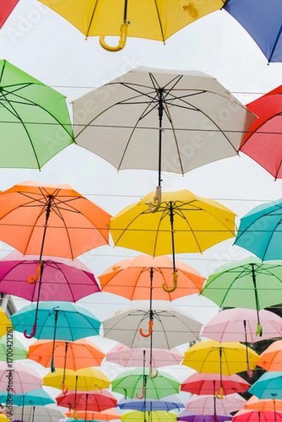 Fototapeta colorful beach umbrella. Colored umbrellas. Sky of colored umbrellas. Decor of umbrellas.