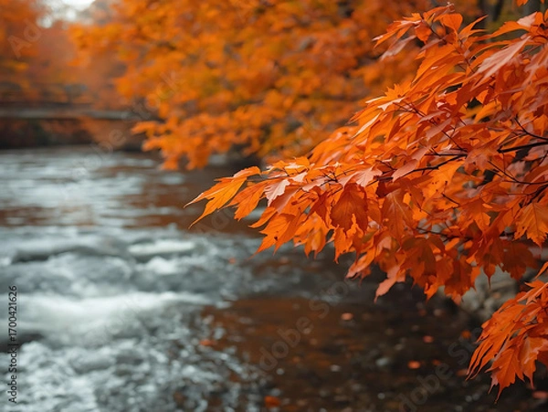 Obraz Orange Autumn Leaves on a Branch Overlooking a Flowing River