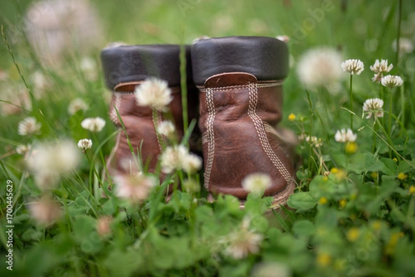 Fototapeta leather hiking boots on the meadow with clover