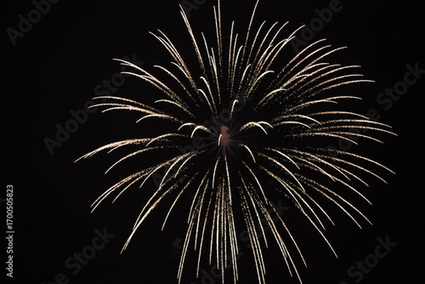 Fototapeta Festive fireworks. Fireworks in the sky.