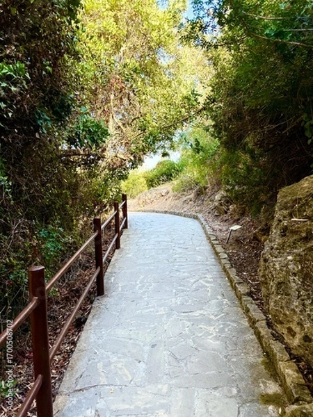 Fototapeta Concrete pathway through lush greenery outdoors. A walking path paved with stones.