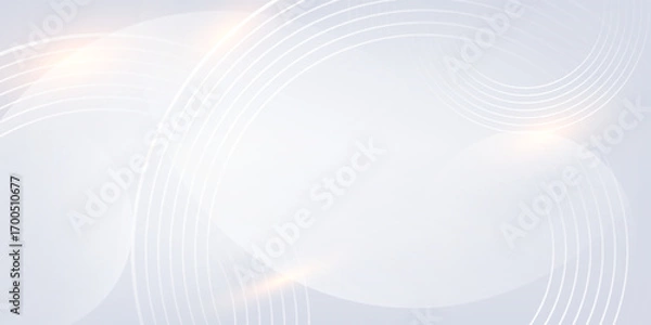 Obraz Abstract grey background with dynamic circle lines. circle background. abstract background.