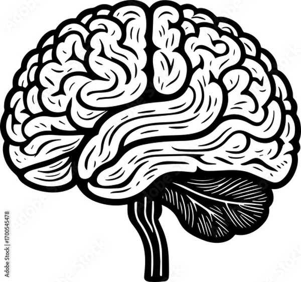 Fototapeta Human Brain Graphic Element for Medical, Technology, and Knowledge Brand Identity