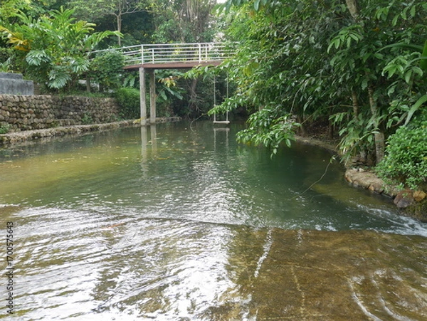 Fototapeta Tranquil River Scene with Swing and Lush Greenery in Nature