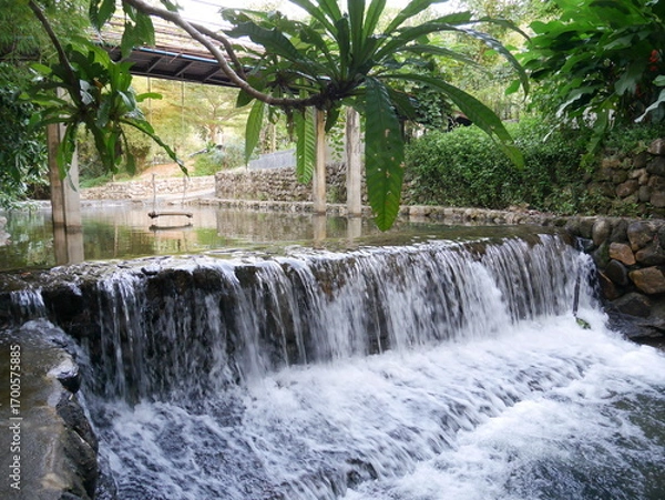 Fototapeta Serene Waterfall Surrounded by Lush Greenery in Tranquil Setting