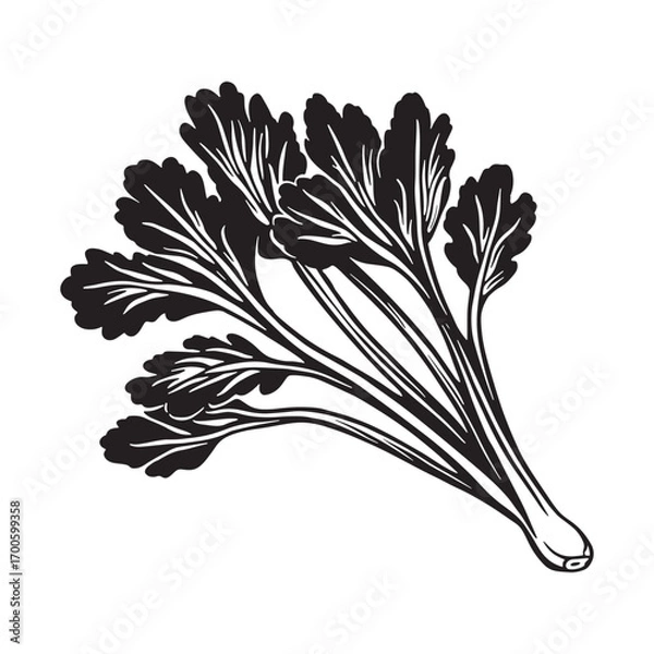 Fototapeta Celery vector silhouette.