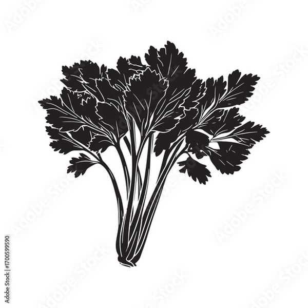 Fototapeta Celery vector silhouette.