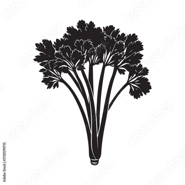 Fototapeta Celery vector silhouette.