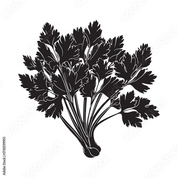 Fototapeta Celery vector silhouette.