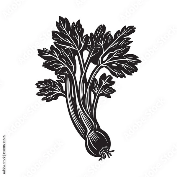 Fototapeta Celery vector silhouette.