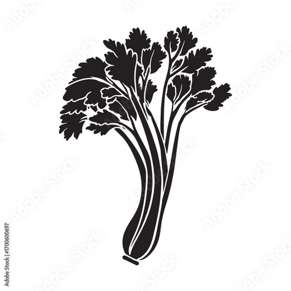 Fototapeta Celery vector silhouette.