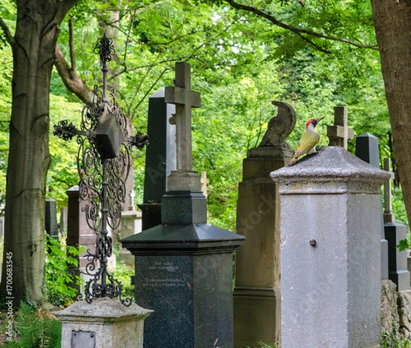 Obraz Viel alte Grabsteine inmitten von Bäumen Alter Südfriedhof München