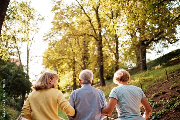 Fototapeta A Beautiful Family Stroll Through the Colorful Autumn Park with an Elderly Man Enjoying Nature