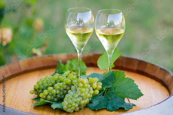 Fototapeta Tasty white wine on wooden barrel on grape plantation background