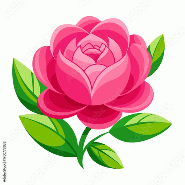 Obraz pink peony flower