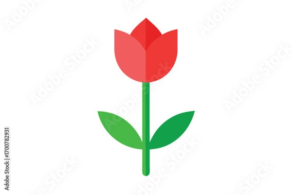 Fototapeta Stylized Red Tulip Illustration Isolated on White Background with Green Stem