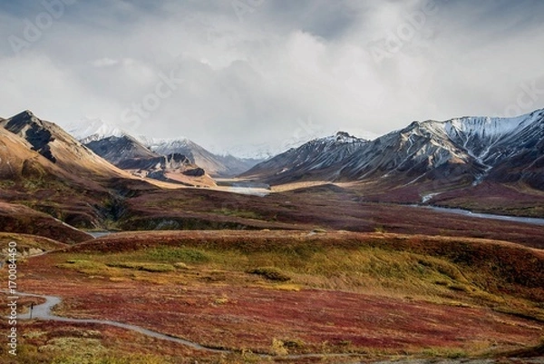 Obraz Fall color on the Alaska tundra with snowy mountains 